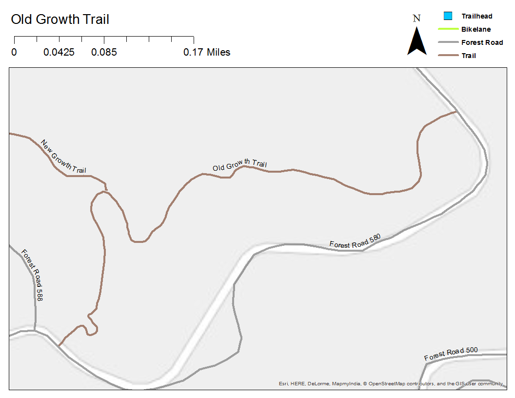 Old Growth Trail